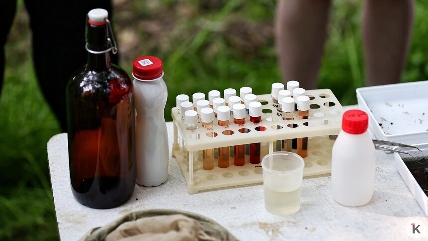 Тухлой рыбой в центре Калининграда воняет не речка — минприроды   - Новости Калининграда | Фото: Александр Подгорчук / Архив «Клопс»