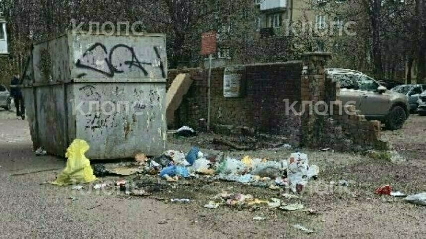 «Видим каждый день на Минской обстановку хуже свинской»: музыкальный дайджест калининградских новостей за неделю (видео)   - Новости Калининграда | Фото: очевидец