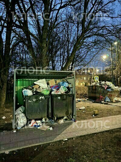 Крысы плодятся, повсюду «красота»: 5 мест в Калининграде, где не хватает чистоты (фото, видео)   - Новости Калининграда | Фото: Дарья Пасенко, Екатерина Васёва