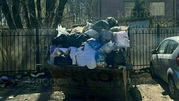 Крысы плодятся, повсюду «красота»: 5 мест в Калининграде, где не хватает чистоты (фото, видео)   - Новости Калининграда | Фото: Елена Блажко 