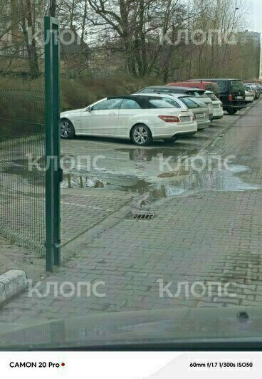 Крысы плодятся, повсюду «красота»: 5 мест в Калининграде, где не хватает чистоты (фото, видео)   - Новости Калининграда | Фото: Сергей