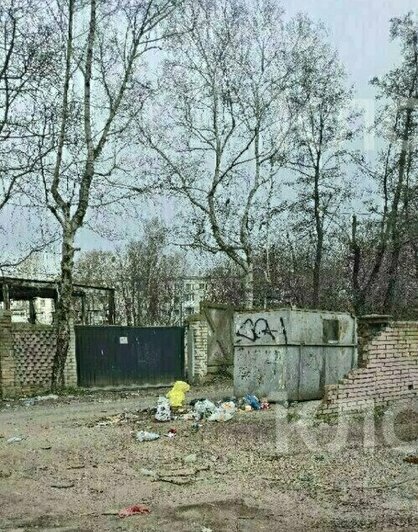 Крысы плодятся, повсюду «красота»: 5 мест в Калининграде, где не хватает чистоты (фото, видео)   - Новости Калининграда | Фото: очевидец