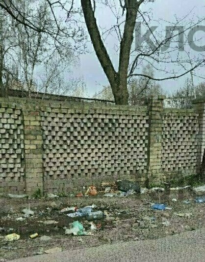 Крысы плодятся, повсюду «красота»: 5 мест в Калининграде, где не хватает чистоты (фото, видео)   - Новости Калининграда | Фото: очевидец