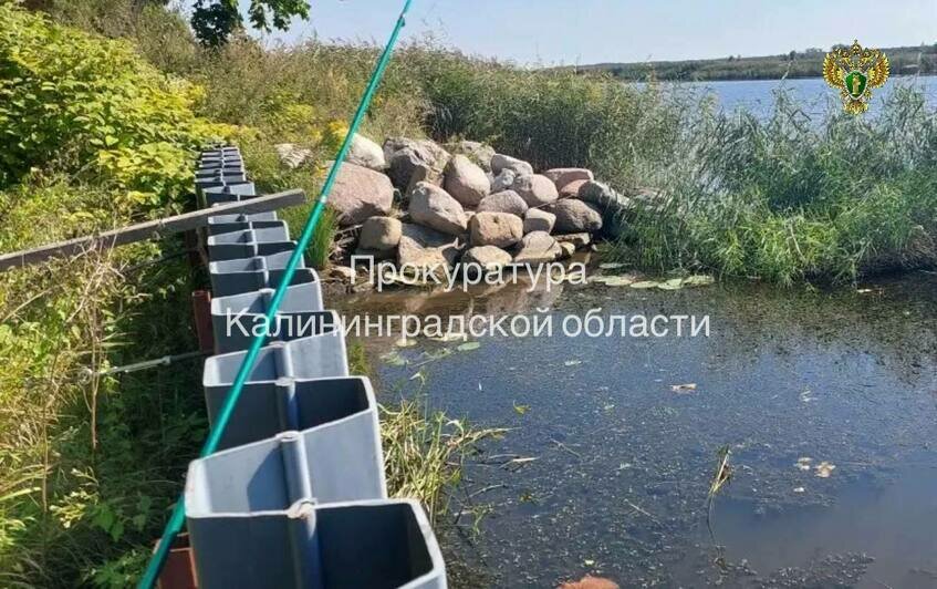 Под Калининградом часть береговой полосы Преголи загадочным образом попала в частные руки - Новости Калининграда | Фото: канал прокуратуры Калининградской области / Телеграм