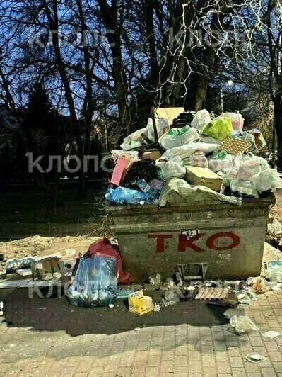 Крысы плодятся, повсюду «красота»: 5 мест в Калининграде, где не хватает чистоты (фото, видео)   - Новости Калининграда | Фото: Дарья Пасенко, Екатерина Васёва