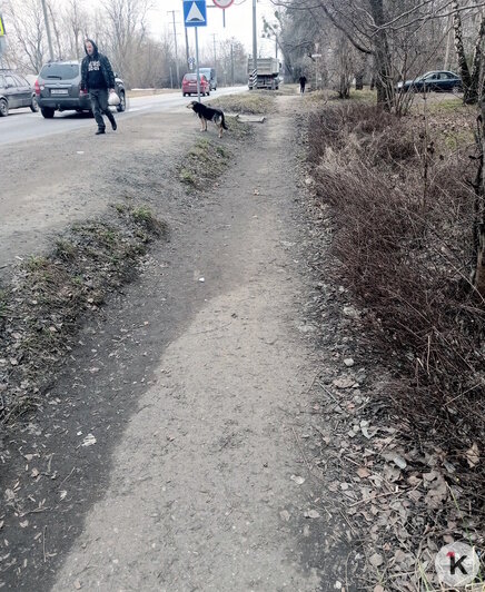 Тротуар настолько загажен, что люди обходят его по обочине | Фото: Виктория А.
