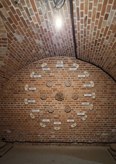 Туристов с Крайнего Севера в Калининграде удивили деревья с зелёными шариками, мороженое с рыбой и янтарные тараканы - Новости Калининграда | Фото: Анны из Северодвинска 