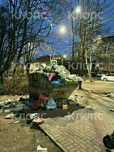 Крысы плодятся, повсюду «красота»: 5 мест в Калининграде, где не хватает чистоты (фото, видео)   - Новости Калининграда | Фото: Дарья Пасенко, Екатерина Васёва