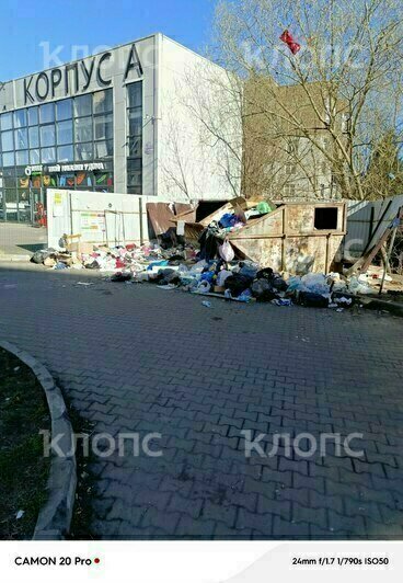 Крысы плодятся, повсюду «красота»: 5 мест в Калининграде, где не хватает чистоты (фото, видео)   - Новости Калининграда | Фото: Сергей