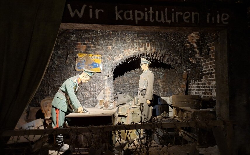 Туристов с Крайнего Севера в Калининграде удивили деревья с зелёными шариками, мороженое с рыбой и янтарные тараканы - Новости Калининграда | Фото: Анны из Северодвинска 