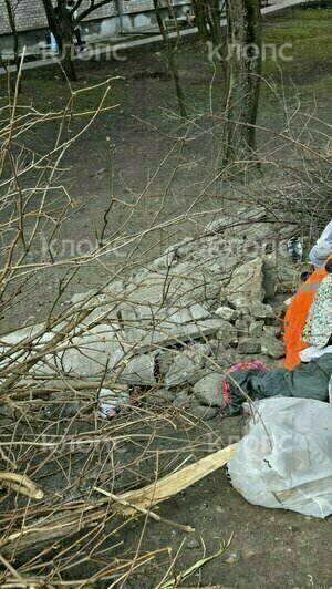 Крысы плодятся, повсюду «красота»: 5 мест в Калининграде, где не хватает чистоты (фото, видео)   - Новости Калининграда | Фото: Дарья Пасенко, Екатерина Васёва