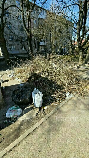 Крысы плодятся, повсюду «красота»: 5 мест в Калининграде, где не хватает чистоты (фото, видео)   - Новости Калининграда | Фото: Дарья Пасенко, Екатерина Васёва