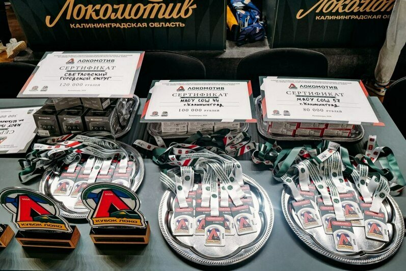 В Калининграде определили победителей школьного волейбольного Кубка «Локо» - Новости Калининграда | Фото: сообщество ВК «Локомотив» / «ВКонтакте»