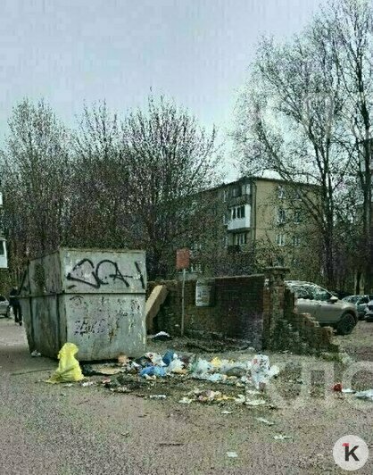 Крысы плодятся, повсюду «красота»: 5 мест в Калининграде, где не хватает чистоты (фото, видео)   - Новости Калининграда | Фото: очевидец