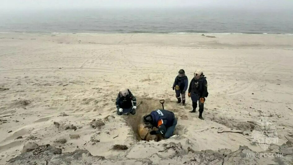 На Балткосе уничтожили немецкую авиабомбу времён войны (фото) - Новости Калининграда | Фото: МЧС региона