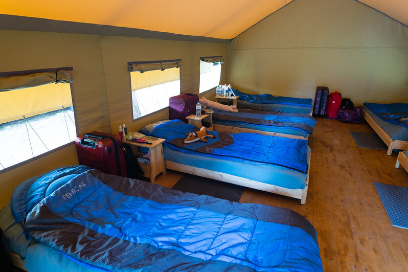 Три недели на природе: сколько стоит отдых в детских лагерях Калининградской области - Новости Калининграда | Фото: архив «Клопс»