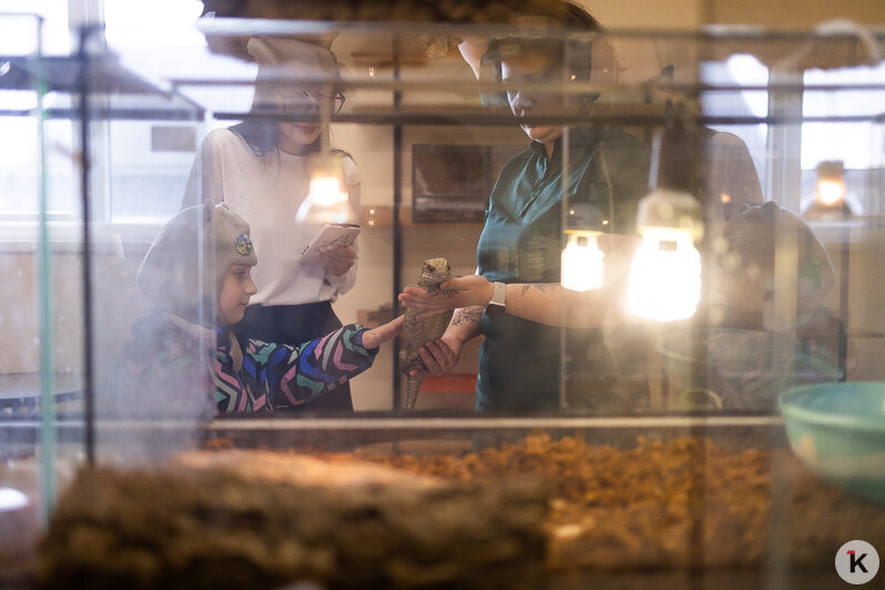 Как жертва калининградского шоу-бизнеса попала в приют и кто ещё коротает свой век в «Доме дракона» (фото)  - Новости Калининграда | Фото: Александр Подгорчук / «Клопс»