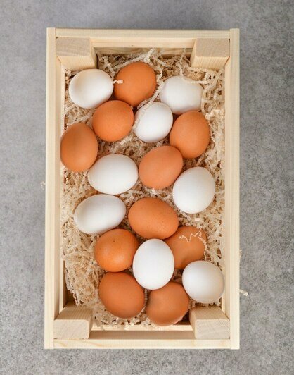 Пасха начинается с простого: как выбрать хорошие яйца и почему лучше брать местные - Новости Калининграда