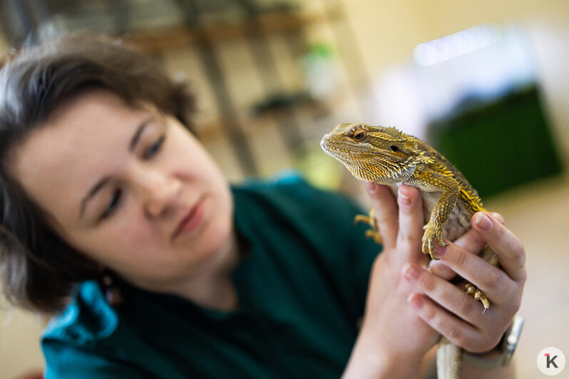 Как жертва калининградского шоу-бизнеса попала в приют и кто ещё коротает свой век в «Доме дракона» (фото)  - Новости Калининграда | Фото: Александр Подгорчук / «Клопс»