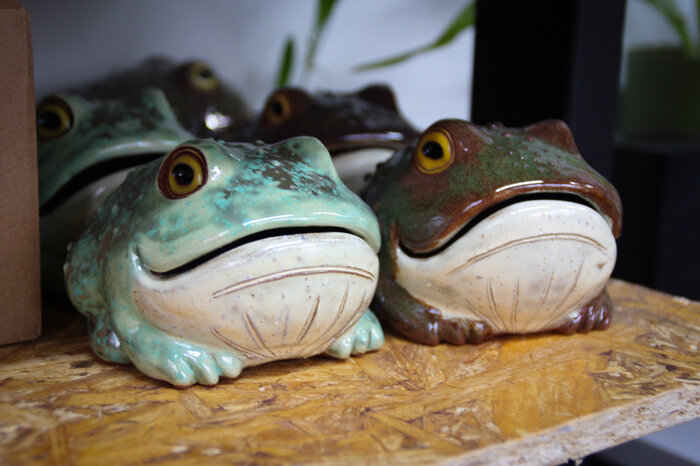 Те самые жабки. | Фото: Маргарита Юркова