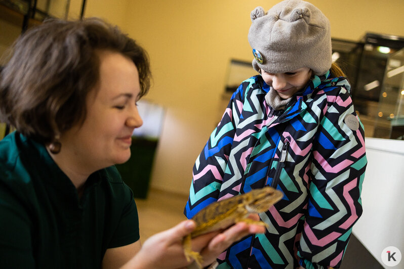 Как жертва калининградского шоу-бизнеса попала в приют и кто ещё коротает свой век в «Доме дракона» (фото)  - Новости Калининграда | Фото: Александр Подгорчук / «Клопс»