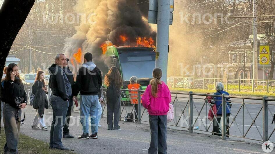 Троллейбус вспыхнул за считанные минуты  | Фото: очевидец