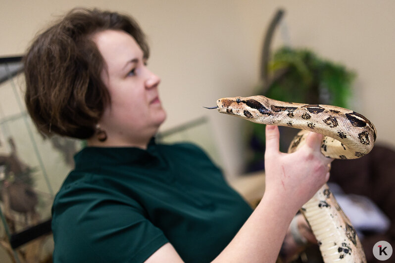 Как жертва калининградского шоу-бизнеса попала в приют и кто ещё коротает свой век в «Доме дракона» (фото)  - Новости Калининграда | Фото: Александр Подгорчук / «Клопс»