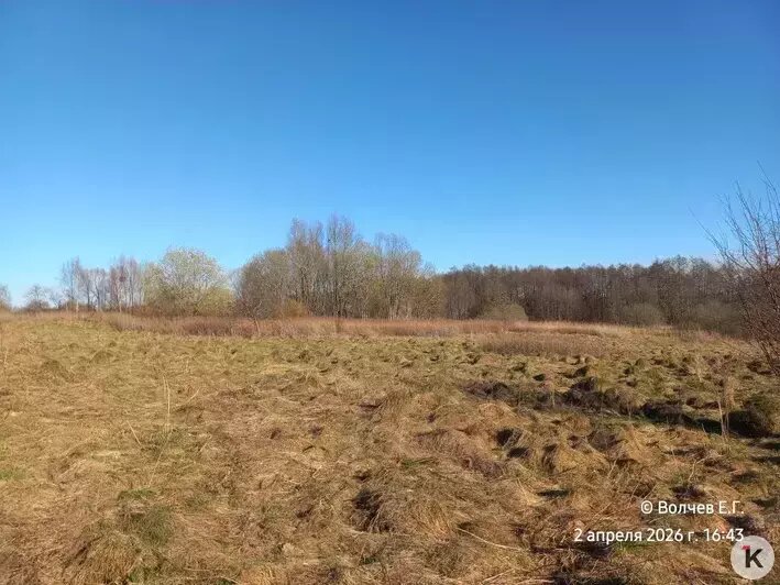 Так спариваются клещи | Фото: Евгений Волчев