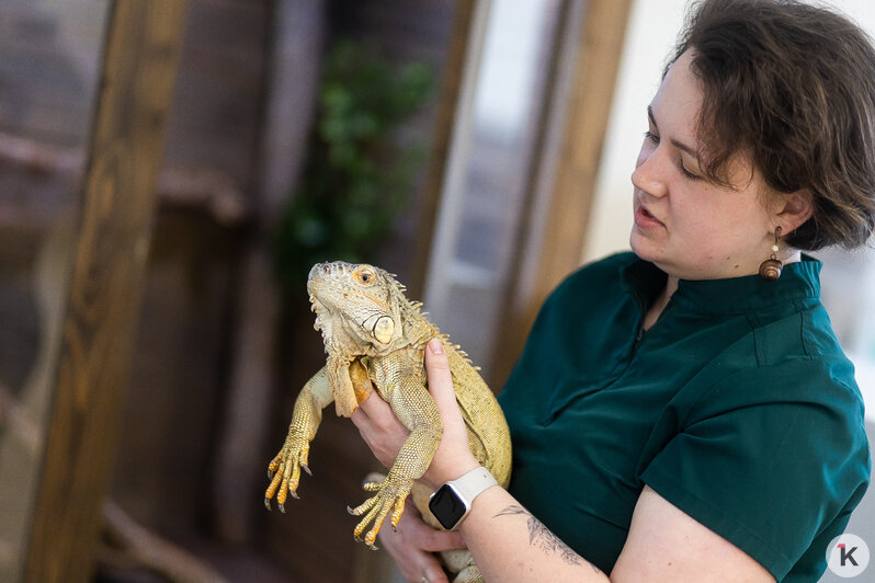 Как жертва калининградского шоу-бизнеса попала в приют и кто ещё коротает свой век в «Доме дракона» (фото)  - Новости Калининграда | Фото: Александр Подгорчук / «Клопс»