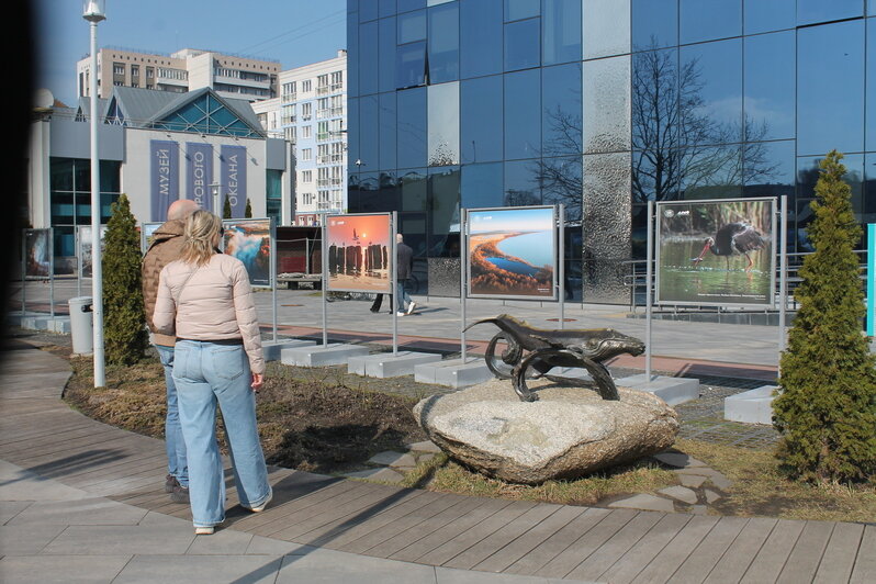 «Пока всего одна бронь»: будет ли удачным новый турсезон для владельцев жилья и что хотят увидеть гости в Калининграде - Новости Калининграда | А.Михайлова