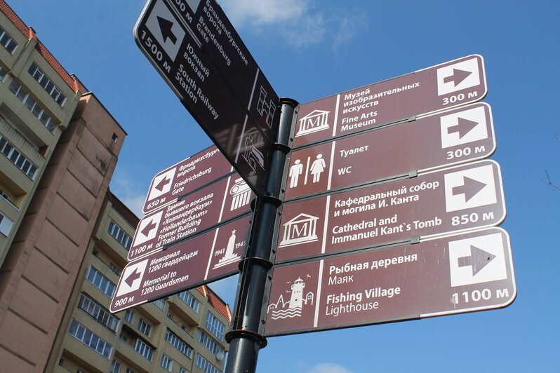 «Пока всего одна бронь»: будет ли удачным новый турсезон для владельцев жилья и что хотят увидеть гости в Калининграде - Новости Калининграда | А.Михайлова