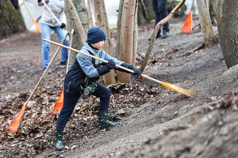 Дождь уборке не помеха: в Калининграде прошёл общегородской субботник (фоторепортаж) - Новости Калининграда | Фото: Александр Подгорчук / «Клопс»