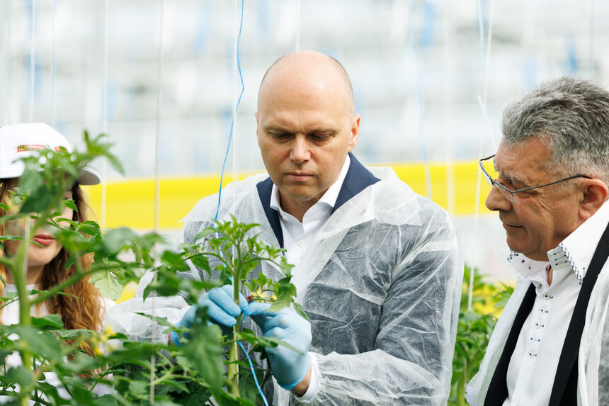 Алексей Беспрозванных назвал главную задачу правительства - выйти на самообеспечение овощами.  | Фото: Александр Мелехов