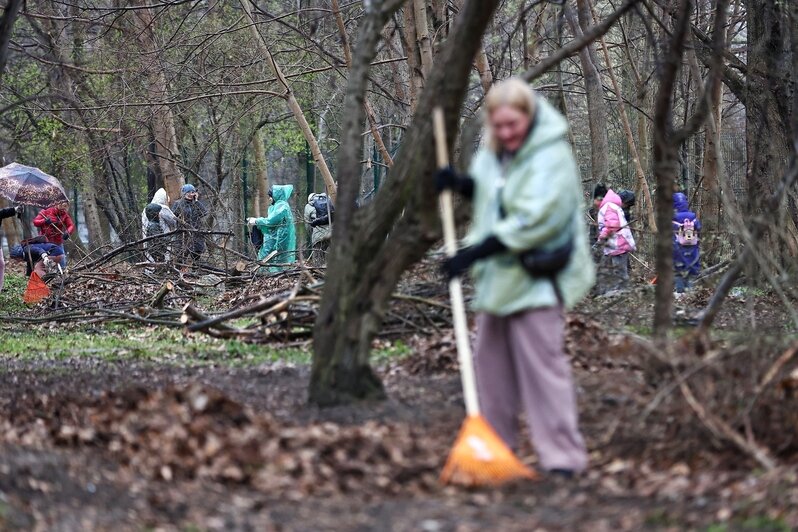 Дождь уборке не помеха: в Калининграде прошёл общегородской субботник (фоторепортаж) - Новости Калининграда | Фото: Александр Подгорчук / «Клопс»