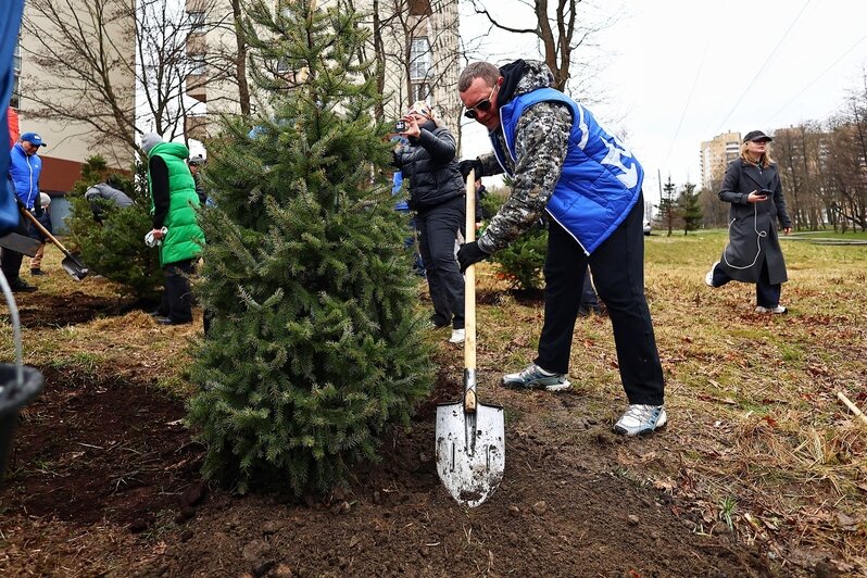 Дождь уборке не помеха: в Калининграде прошёл общегородской субботник (фоторепортаж) - Новости Калининграда | Фото: Александр Подгорчук / «Клопс»