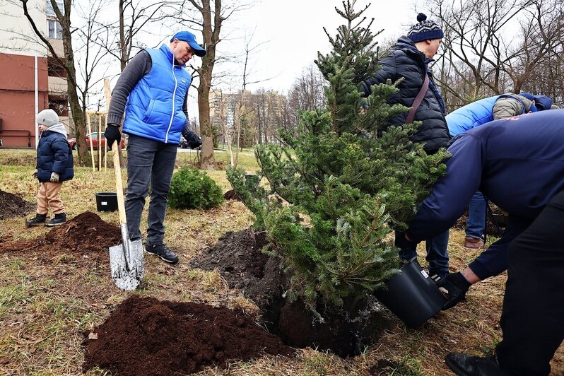Дождь уборке не помеха: в Калининграде прошёл общегородской субботник (фоторепортаж) - Новости Калининграда | Фото: Александр Подгорчук / «Клопс»