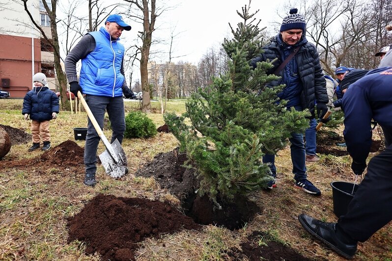 Дождь уборке не помеха: в Калининграде прошёл общегородской субботник (фоторепортаж) - Новости Калининграда | Фото: Александр Подгорчук / «Клопс»