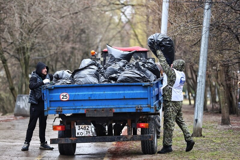Дождь уборке не помеха: в Калининграде прошёл общегородской субботник (фоторепортаж) - Новости Калининграда | Фото: Александр Подгорчук / «Клопс»
