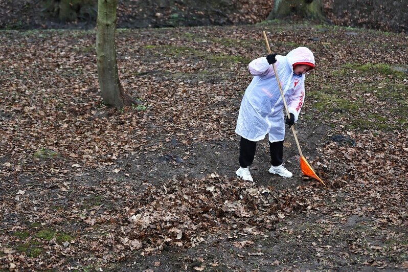 Дождь уборке не помеха: в Калининграде прошёл общегородской субботник (фоторепортаж) - Новости Калининграда | Фото: Александр Подгорчук / «Клопс»