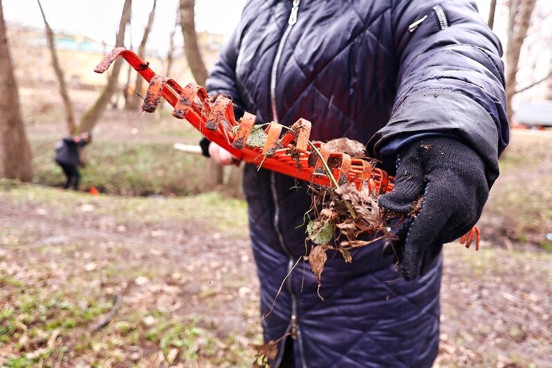 Дождь уборке не помеха: в Калининграде прошёл общегородской субботник (фоторепортаж) - Новости Калининграда | Фото: Александр Подгорчук / «Клопс»