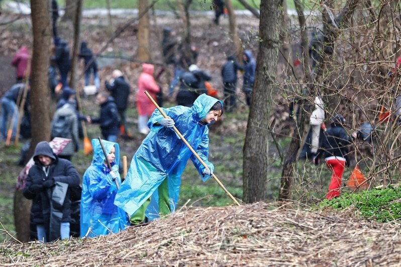 Дождь уборке не помеха: в Калининграде прошёл общегородской субботник (фоторепортаж) - Новости Калининграда | Фото: Александр Подгорчук / «Клопс»