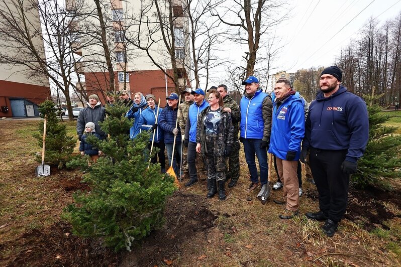 Дождь уборке не помеха: в Калининграде прошёл общегородской субботник (фоторепортаж) - Новости Калининграда | Фото: Александр Подгорчук / «Клопс»