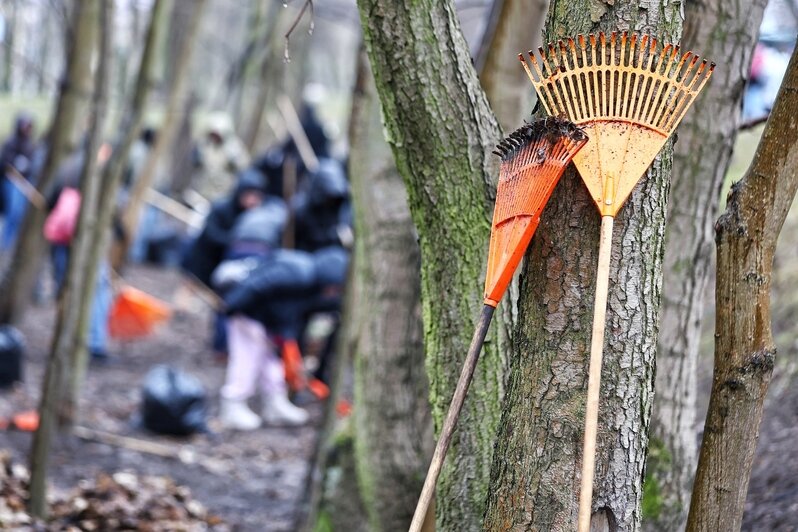 Дождь уборке не помеха: в Калининграде прошёл общегородской субботник (фоторепортаж) - Новости Калининграда | Фото: Александр Подгорчук / «Клопс»