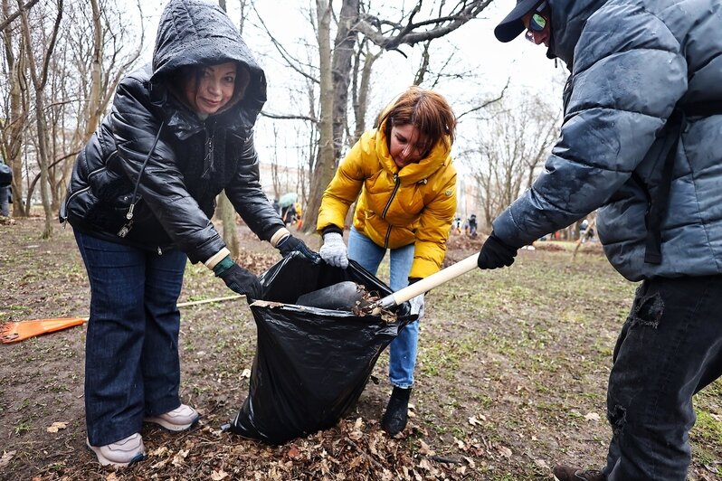 Дождь уборке не помеха: в Калининграде прошёл общегородской субботник (фоторепортаж) - Новости Калининграда | Фото: Александр Подгорчук / «Клопс»