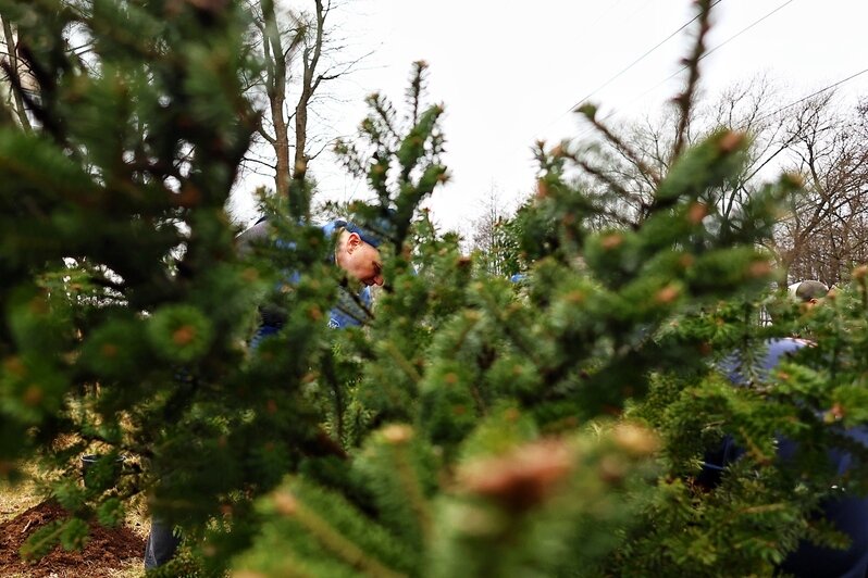 Дождь уборке не помеха: в Калининграде прошёл общегородской субботник (фоторепортаж) - Новости Калининграда | Фото: Александр Подгорчук / «Клопс»