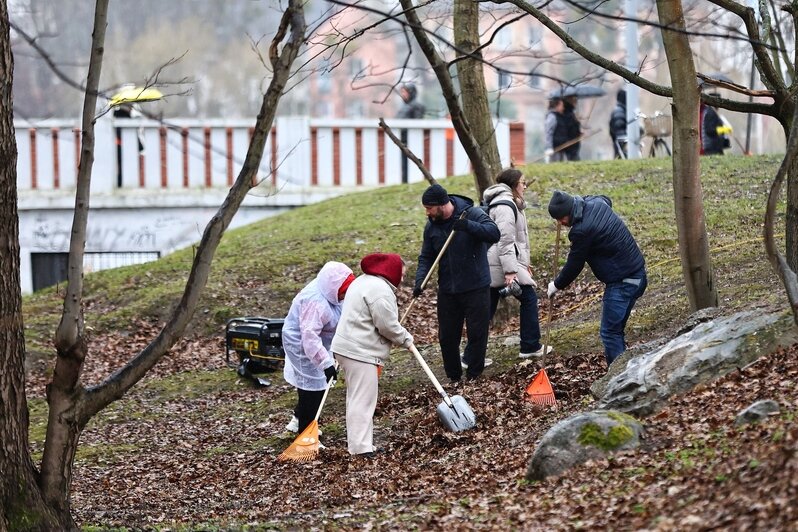 Дождь уборке не помеха: в Калининграде прошёл общегородской субботник (фоторепортаж) - Новости Калининграда | Фото: Александр Подгорчук / «Клопс»