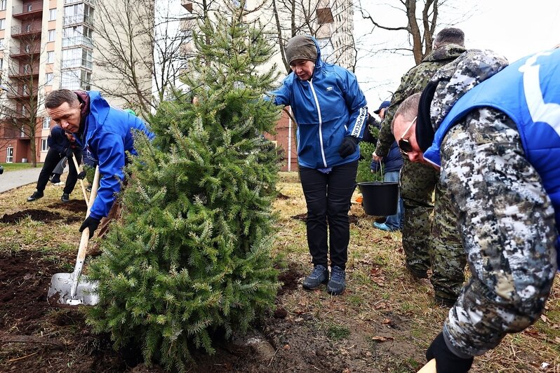 Дождь уборке не помеха: в Калининграде прошёл общегородской субботник (фоторепортаж) - Новости Калининграда | Фото: Александр Подгорчук / «Клопс»