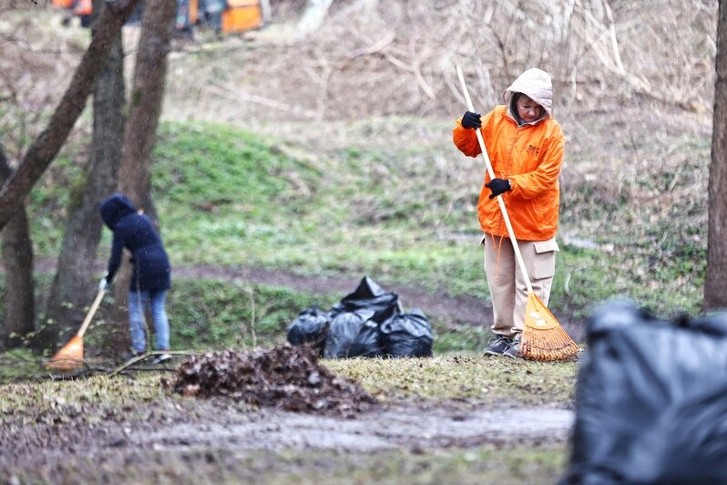 На ручье Воздушном глава региона дал старт Всероссийской акции по очистке берегов водных объектов «Вода России» | Фото: Александр Подгорчук 