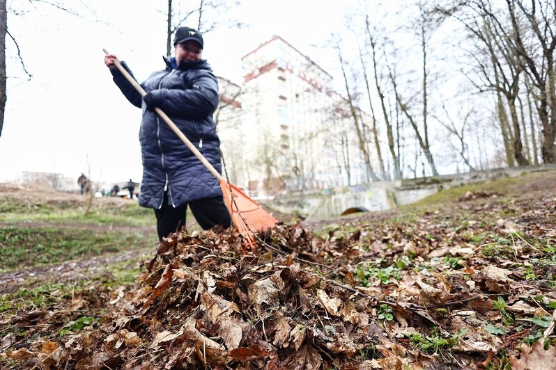 В областном центре  добровольцы навели порядок на 16 городских объектах | Фото: Александр Подгорчук 