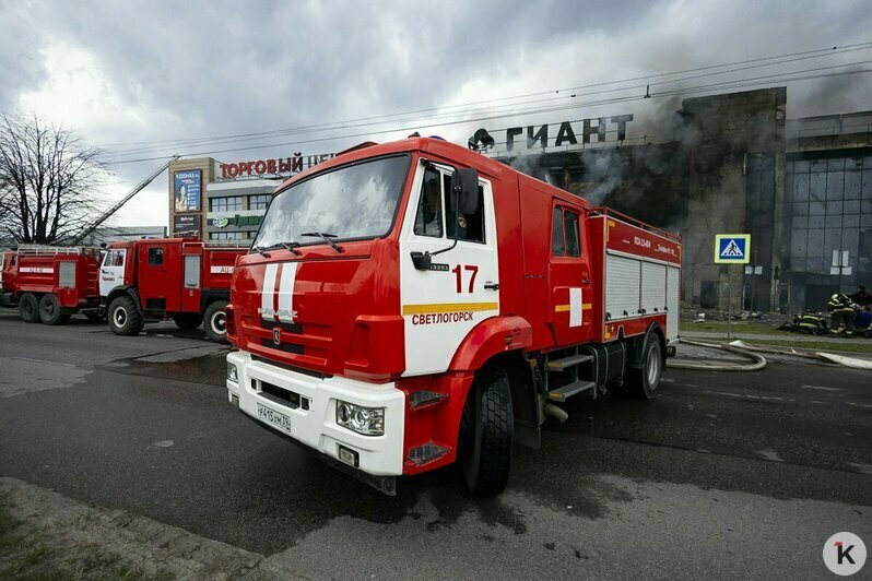 Павший в битве с огнём великан: что осталось от торгового центра «Гиант» на Московском проспекте (фоторепортаж) - Новости Калининграда | Фото: Александр Подгорчук / «Клопс»